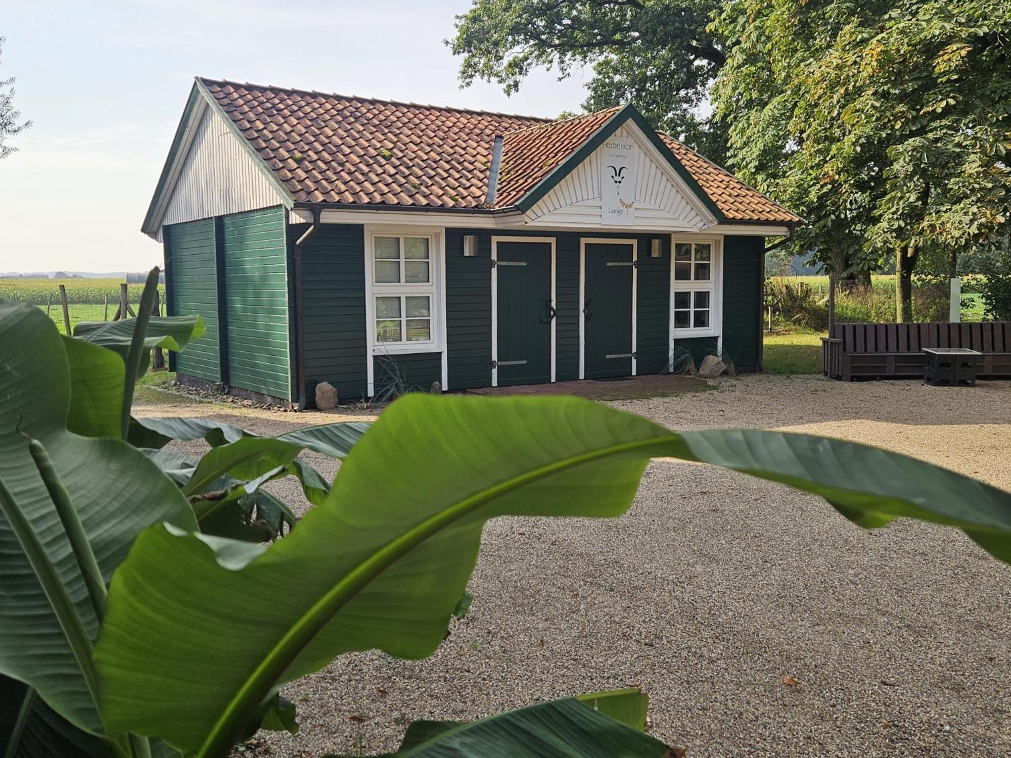 Ferienhaus Banana Lodge Bruchhausen-Vilsen Esterno foto